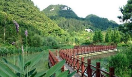 汕尾市陸河縣林中花溪農(nóng)業(yè)綜合開發(fā)田園綜合體項目