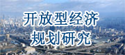 開放型經濟規(guī)劃研究