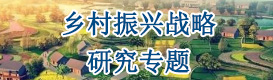鄉(xiāng)村振興戰(zhàn)略研究專題