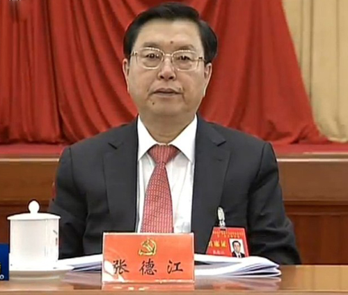 中共中央政治局委員、國務院副總理張德江