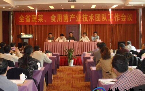 浙江磐安縣加速食用菌產(chǎn)業(yè)轉(zhuǎn)型升級(jí)會(huì)議