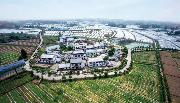 白坪飛龍鄉村振興示范區規劃,白坪飛龍鄉村產業振興