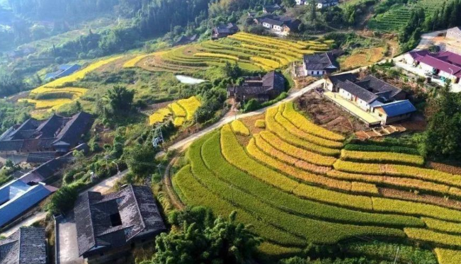 廣東梅畬田園綜合體現狀,廣東梅畬田園綜合體規劃對策