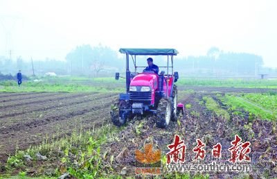 目前清遠第一產業比重偏重，且內部結構不合理，農業“市場化、設施化、規模化、產業化”的水平有待進一步提高。