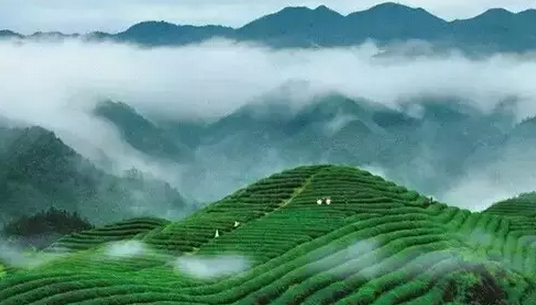 休閑農(nóng)業(yè)發(fā)展規(guī)劃建設