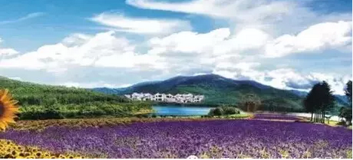 休閑農(nóng)業(yè)做內(nèi)質(zhì)，忌王婆賣瓜