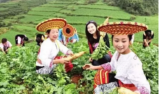 休閑農(nóng)業(yè)做市場，忌盲從領導