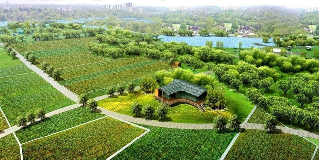 2017～2020年建設區(qū)域生態(tài)循環(huán)農業(yè)項目300個左右
