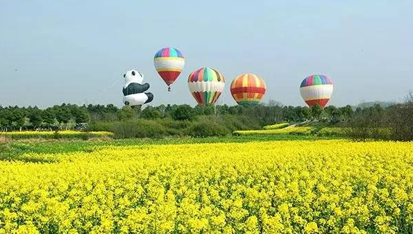 南京高淳椏溪國際慢城，游客乘坐高空熱氣球俯瞰油菜花海