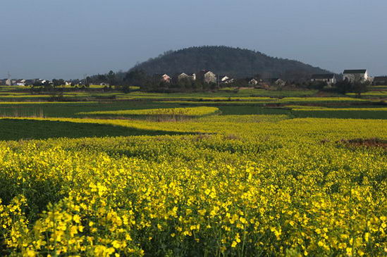 南京著力打造健康養(yǎng)生和休閑旅游產(chǎn)業(yè)高度融合的特色園區(qū)