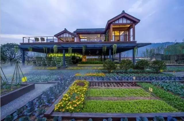 中機院專家解析：田園綜合體是農業還是地產，還是旅游呢?