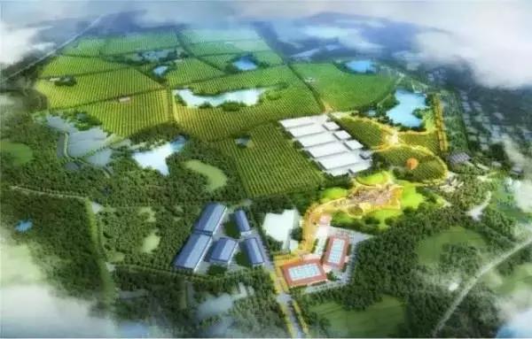 總投資約9億元的鄉(xiāng)村振興戰(zhàn)略——“一山一溪一帶”田園綜合體