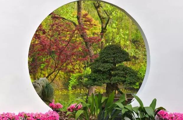 園林景觀中的重頭戲——植物景觀設(shè)計(jì) 