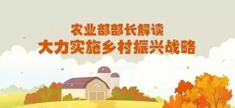 解讀十九大重大的戰略決策：鄉村振興戰略