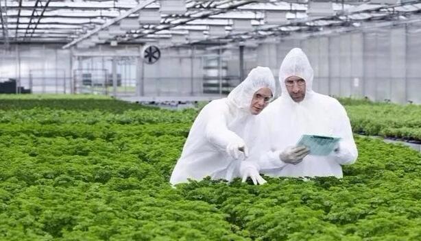  2018年農(nóng)業(yè)綜合開發(fā)的扶持方式有哪些？申報(bào)條件有哪些？
