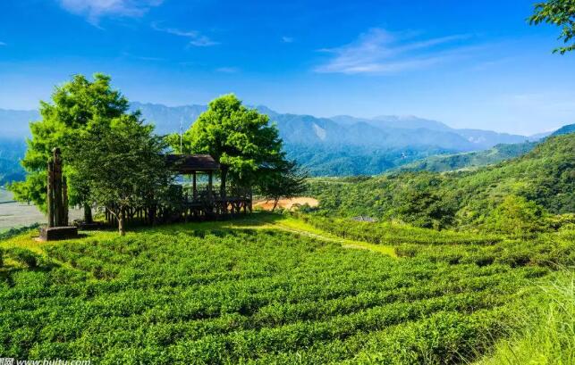 鄉(xiāng)村振興戰(zhàn)略：休閑農(nóng)業(yè)園區(qū)如何申請(qǐng)申報(bào)政策補(bǔ)貼？