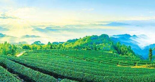 山東省總工會(huì)出臺(tái)了《山東工會(huì)參與鄉(xiāng)村振興戰(zhàn)略實(shí)施十項(xiàng)措施》