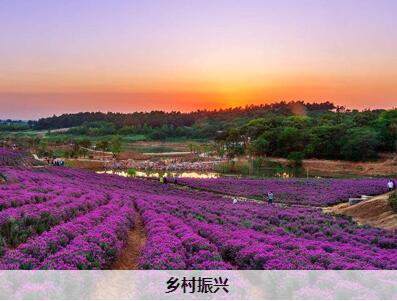 建德不斷創(chuàng)新鄉(xiāng)村治理，全力爭(zhēng)創(chuàng)全省鄉(xiāng)村振興示范區(qū)