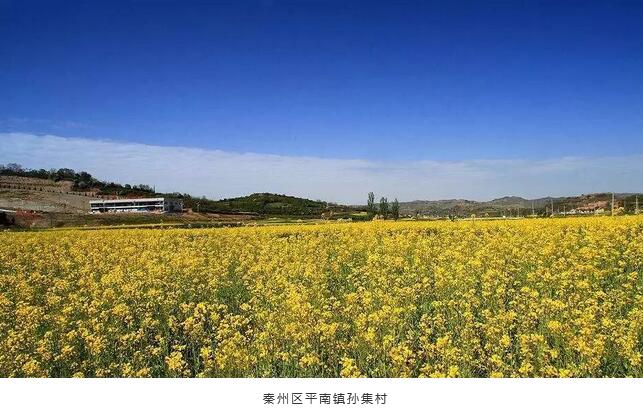 裝配式建筑引領天水鄉(xiāng)村旅游產(chǎn)業(yè)發(fā)展新模式 