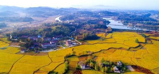 我國出臺的第一個全面推進鄉村振興戰略的五年規劃