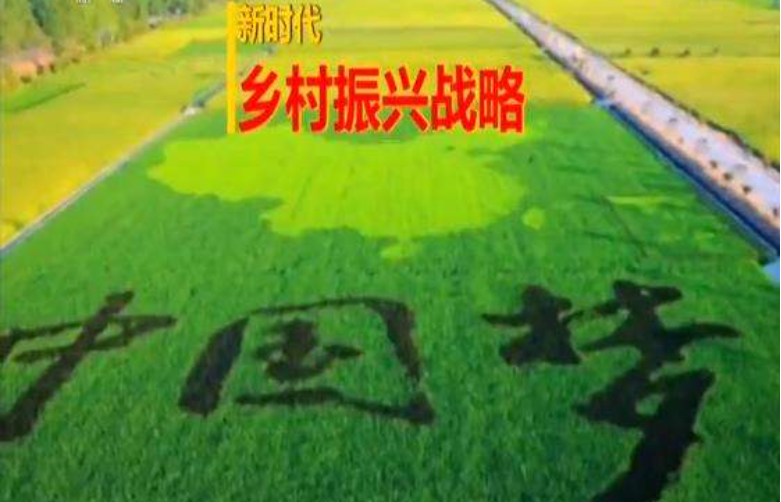 四方面談鄉村振興戰略到底要怎么做？