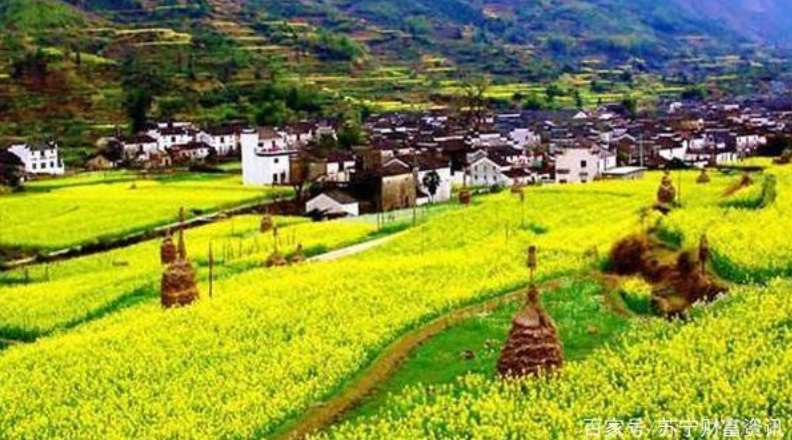 中機(jī)院:互聯(lián)網(wǎng)極有希望成為鄉(xiāng)村振興的“活水之源”