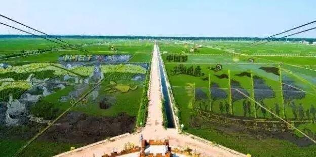 2019年國(guó)家先給錢后建設(shè)的4個(gè)農(nóng)業(yè)投資項(xiàng)目擁有上千萬(wàn)、上億的資金扶持