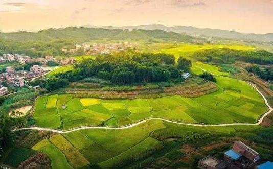 各地鄉(xiāng)村振興規(guī)劃在編制理念方面存在哪些問題？