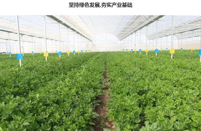 臨澤把生態宜居、美麗鄉村建設作為鄉村振興的生命線