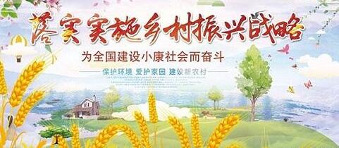 鄉(xiāng)村振興會不會成為下一波少數(shù)“精英人群”撈錢的彩頭？