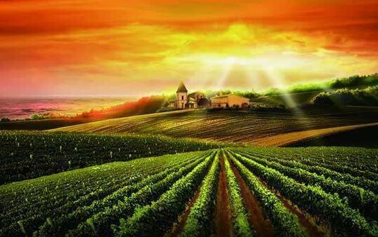 投資“三產融合” 主要包括五種發(fā)展模式