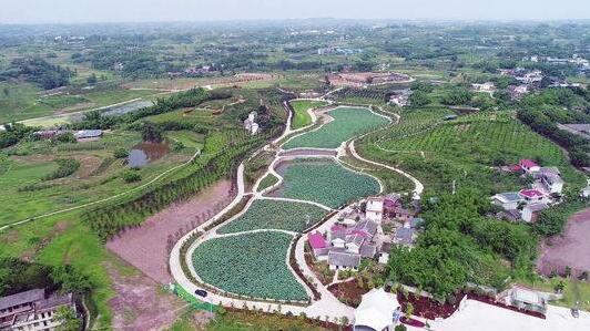 自貢市貢井區雙輪驅動,建設全市產業轉型升級先行區