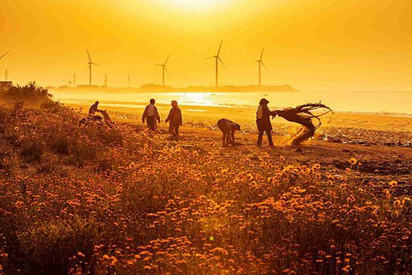 鄉村振興產業規劃 鄉村振興產業規劃