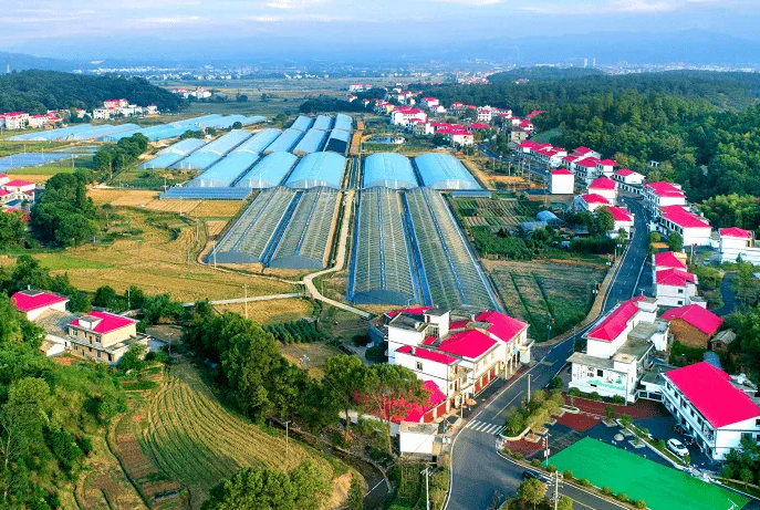 溪村村土地綜合整治困難,土地綜合整治建議
