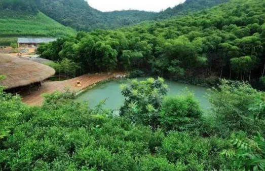 鄉(xiāng)村振興：休閑農(nóng)業(yè)項(xiàng)目拿地要點(diǎn)及方案