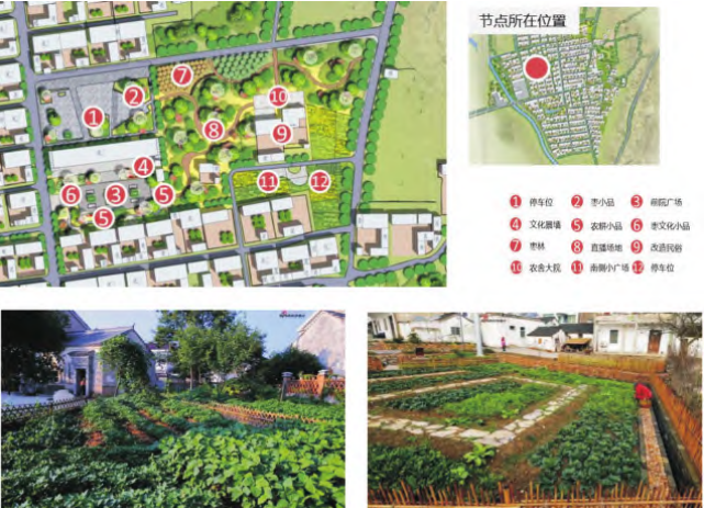 圖8 黃營村“美麗庭院”小菜園設計