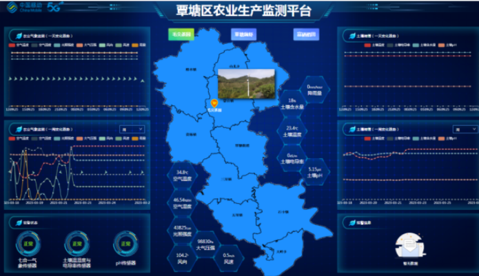 5G技術助力廣西貴港茶產業數字化轉型及產業鏈延伸