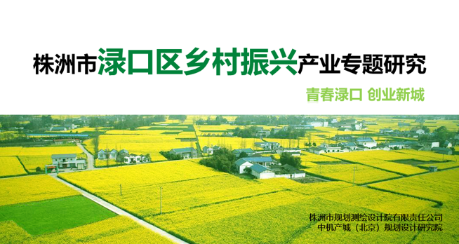 中機院承接《株洲市淥口區鄉村振興產業專題研究》