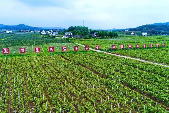 四川財(cái)政加力支持現(xiàn)代農(nóng)業(yè)園區(qū)建設(shè)  打造新時(shí)代更高水平“天府糧倉(cāng)”