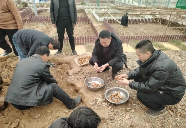 陜西漢中略陽縣大力發(fā)展天麻產業(yè)促進鄉(xiāng)村全面振興