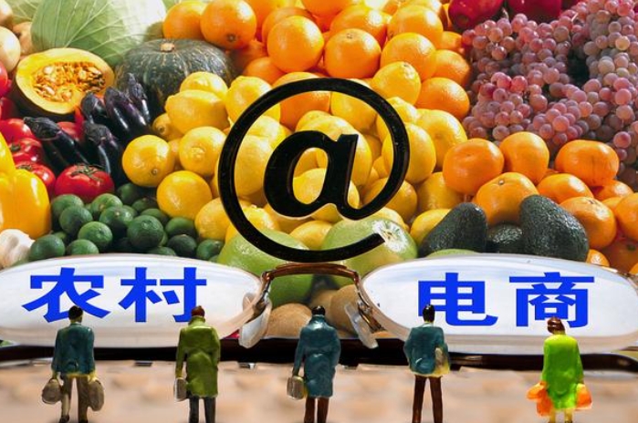 數字鄉村戰略背景下鄉村電商經濟發展路徑研究