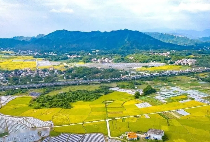什么是農(nóng)業(yè)新質(zhì)生產(chǎn)力？農(nóng)業(yè)新質(zhì)生產(chǎn)力的內(nèi)涵解析