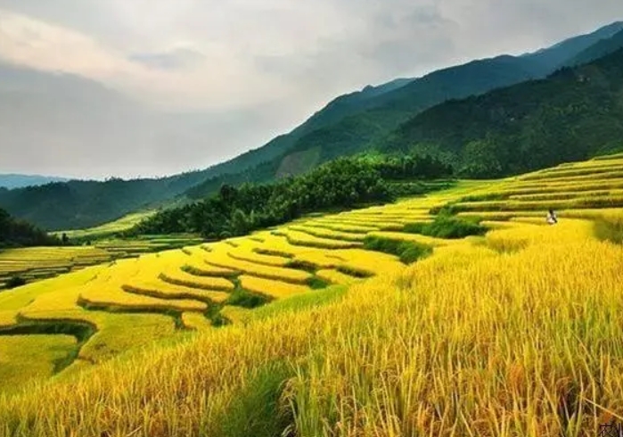 中央預算內(nèi)投資農(nóng)村可持續(xù)發(fā)展投資專項資金申報指南