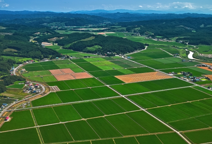 土地利用規劃與鄉村振興戰略探討