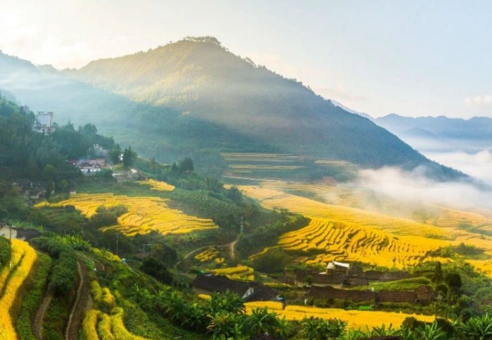 “十五五”時(shí)期高標(biāo)準(zhǔn)農(nóng)田發(fā)展有哪些機(jī)會(huì)？“十五五”時(shí)期高標(biāo)準(zhǔn)農(nóng)田政策