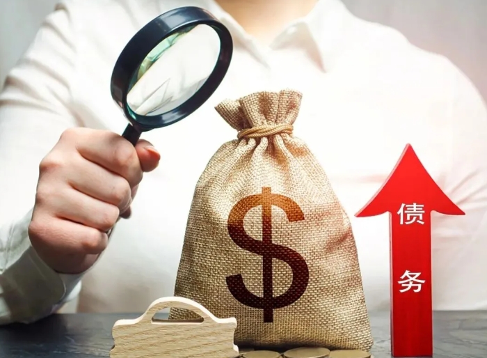 近十年（2015—2024年）專項債申報成功率分析及提高通過率的策略建議