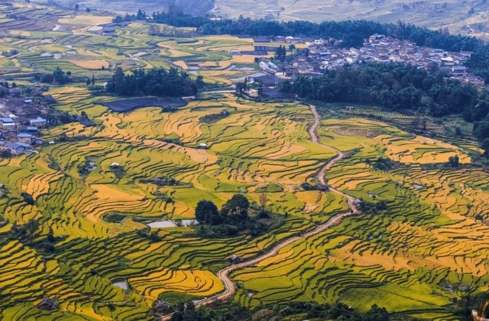 鄉(xiāng)村振興背景下基層經(jīng)營管理的戰(zhàn)略與路徑：大辛店鎮(zhèn)基層工作的探索