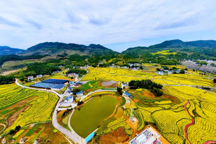 我國農(nóng)村土地綜合整治存在的問題及原因分析