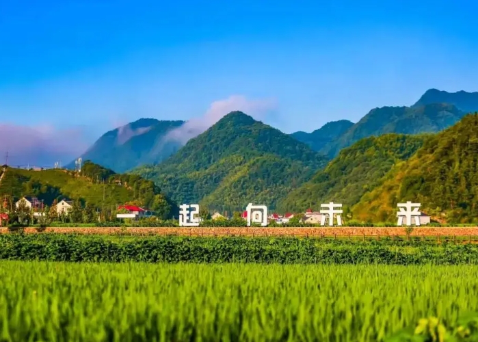 我國西南地區鄉村全面振興的現實困境