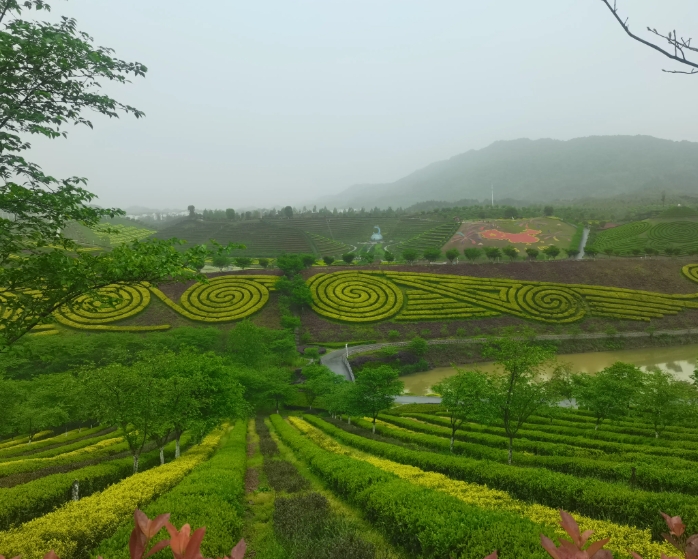鄉村振興背景下茶鄉旅游產業發展路徑探析